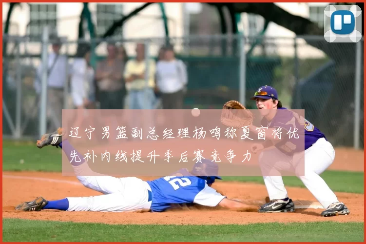 辽宁男篮副总经理杨鸣称夏窗将优先补内线提升季后赛竞争力