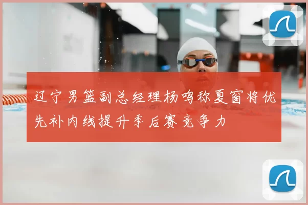 辽宁男篮副总经理杨鸣称夏窗将优先补内线提升季后赛竞争力