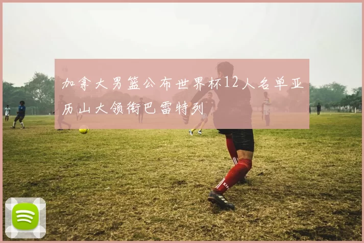 加拿大男篮公布世界杯12人名单亚历山大领衔巴雷特列